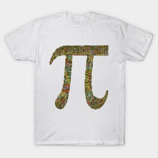 Pi day T-Shirt